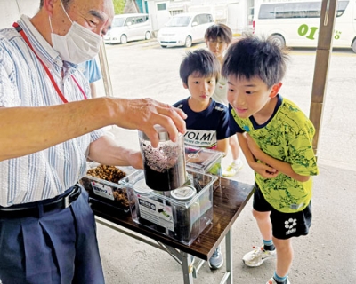 写真：カブトムシを受け取る子どもたち