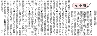 写真：