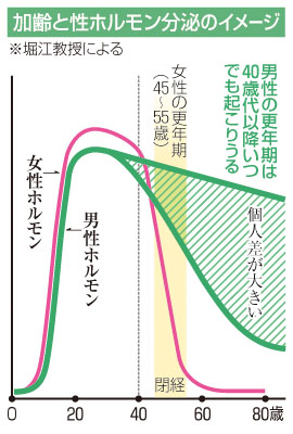 写真：