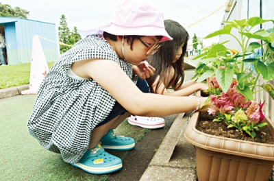 写真：ペンギン散歩コースに置かれたプランターに花苗を植える子どもたち