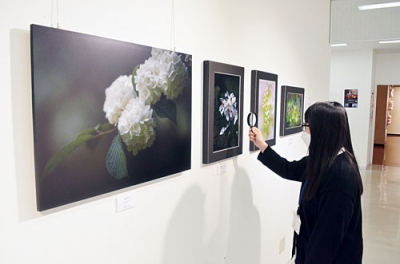 写真：８人の個性が光る写真が会場に並ぶ