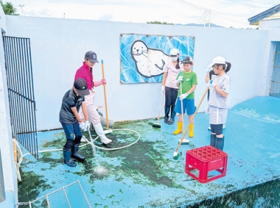 写真：アザラシの屋外施設を掃除する子どもたち