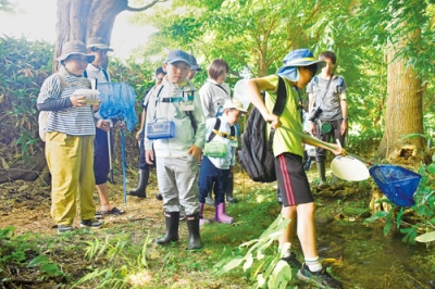 写真：夏の生き物探しを楽しむ親子ら