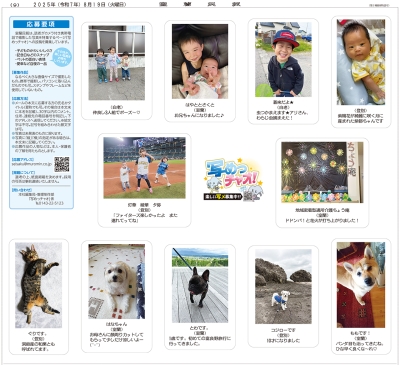 写真：