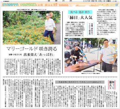写真：