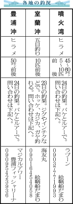 写真：