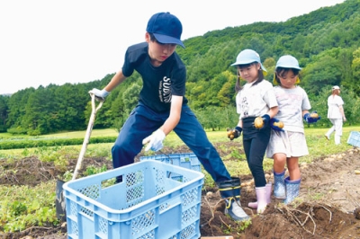 写真：豊作のジャガイモを拾い集める生徒と園児