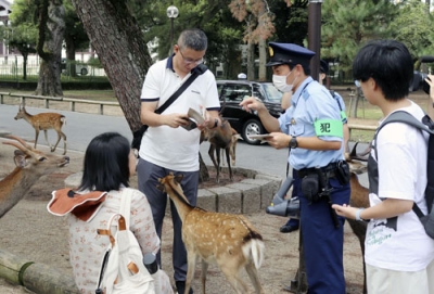 写真：シカに関する「マナーブック」を観光客に配布する奈良県警の警察官＝８月、奈良市
