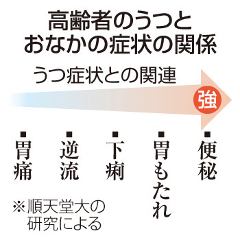 写真：