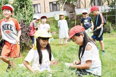 写真：仲良く虫捕りを楽しむ児童と園児