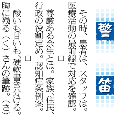 写真：