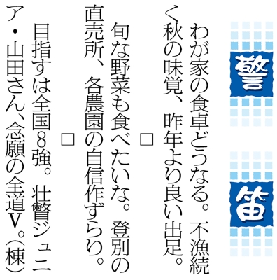 写真：