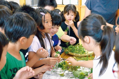 写真：いざというときに食べられる防災植物について興味津々な児童ら