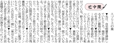 写真：