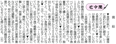写真：