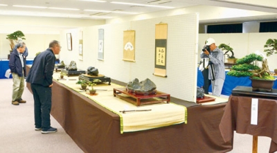 写真：展示された盆栽や水石の作品を見入る来場者