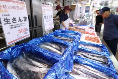 写真：東京都品川区の鮮魚店「中與商店」に並ぶサンマ。今年のサンマ漁は昨年の２倍を超える水準で好調な水揚げが続き、記録的な不漁だった２０２２年の年間総量の１万８千トンを既に上回った＝２５日午前