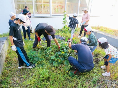 写真：地域住民と一緒にサツマイモを収穫する児童（提供写真）