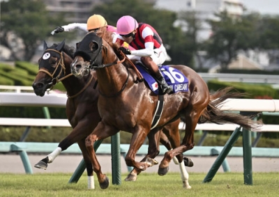 写真：第５９回スプリンターズステークスを制した三浦皇成騎乗のウインカーネリアン（手前）＝中山競馬場