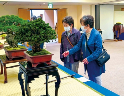写真：個性豊かな作品が並んだ合同盆栽展