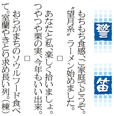 写真：