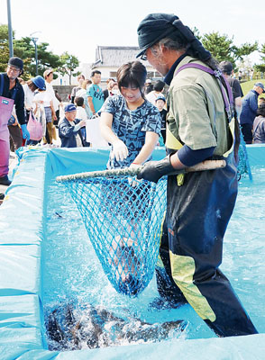 写真：
