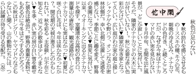 写真：
