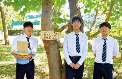 写真：公園内の樹木プレートを付け替えた伊達開来高３年の（左から）吉田さん、藤原さん、八講さん