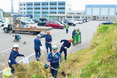 写真：草刈り作業に励む新和産業の社員