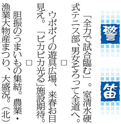 写真：