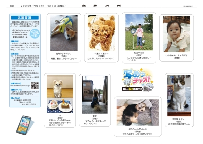 写真：