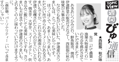 写真：