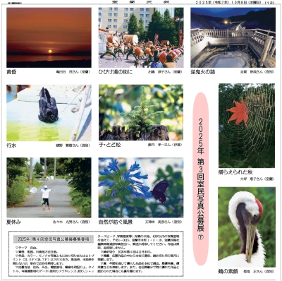 写真：