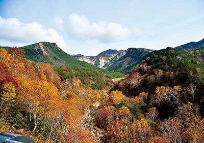 写真：見頃を迎えた十勝岳温泉の紅葉（志賀俊哉さん提供）