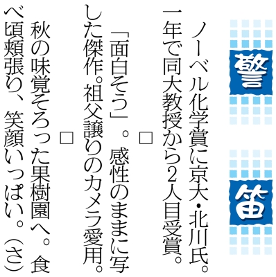 写真：