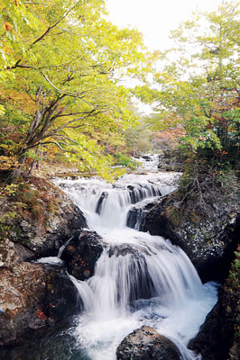 写真：三階滝の上で鮮やかに色づき始める紅葉＝９日午前