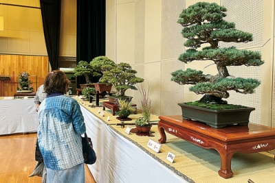 写真：作品を楽しむ来場者