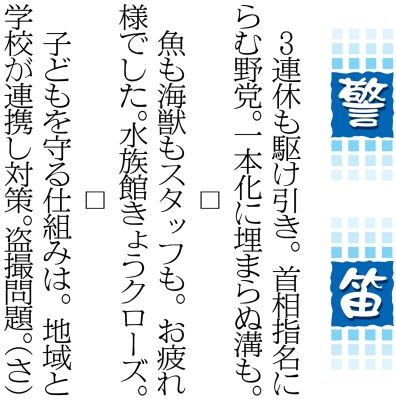 写真：