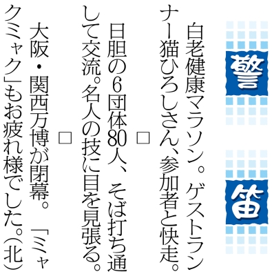 写真：