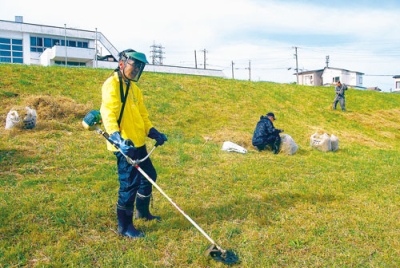 写真：草刈り作業に汗を流す参加者
