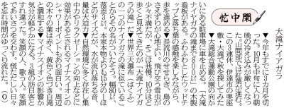 写真：