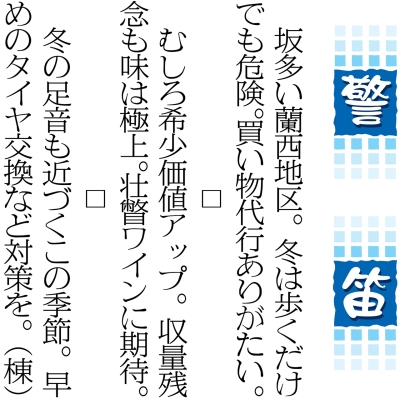 写真：