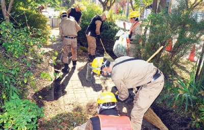 写真：清掃活動に汗を流す室蘭架設工事の社員