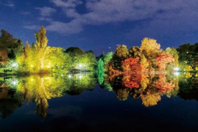 写真：菖蒲池の水面に映る美しい光景（提供写真）