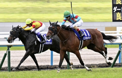 写真：第３０回秋華賞で優勝し、牝馬２冠を獲得したエンブロイダリー（右）。左は２着のエリカエクスプレス＝京都競馬場
