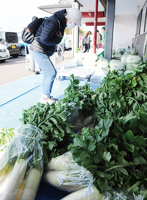写真：大袋で売られている越冬野菜