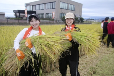 写真：「ナイスライスファーム」が管理する田んぼで稲刈りをする亀田製菓の新入社員＝９月、新潟県阿賀野市