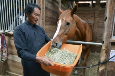 写真:民間事業所「リタッチ」で餌を食べる引退競走馬=10月、大阪府河内長野市