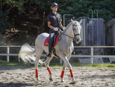 写真:平安騎馬隊の馬に乗り訓練する京都府警の隊員=京都市左京区
