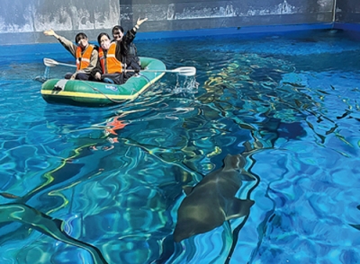 写真：１日から開催している大水槽ツアー（提供写真）